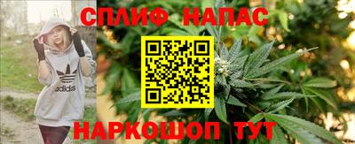 твердый Будённовск