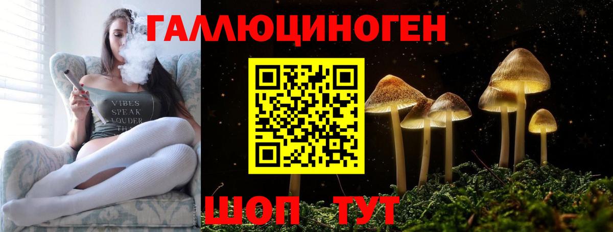 Псилоцибиновые грибы Cubensis Надым